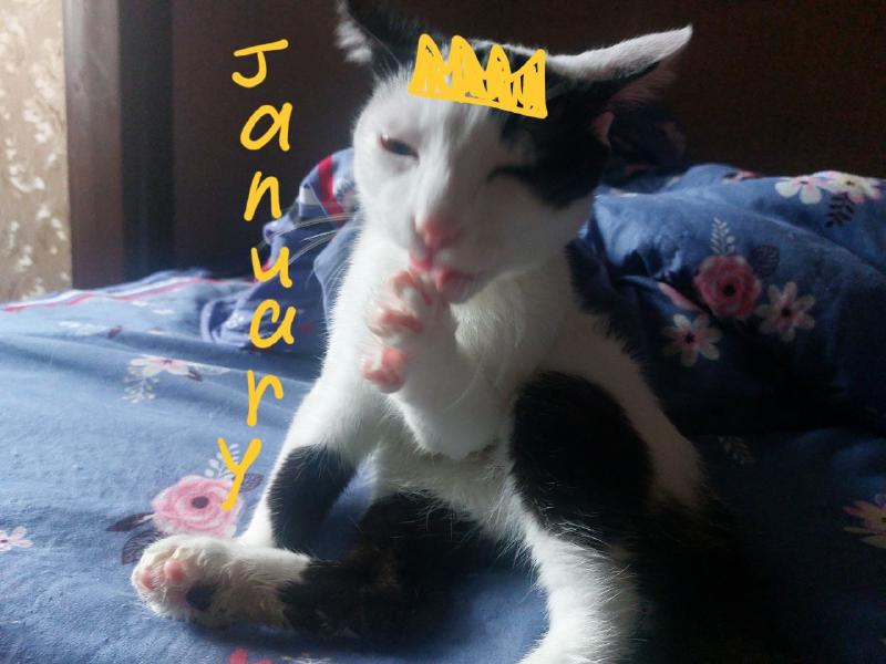 January photo