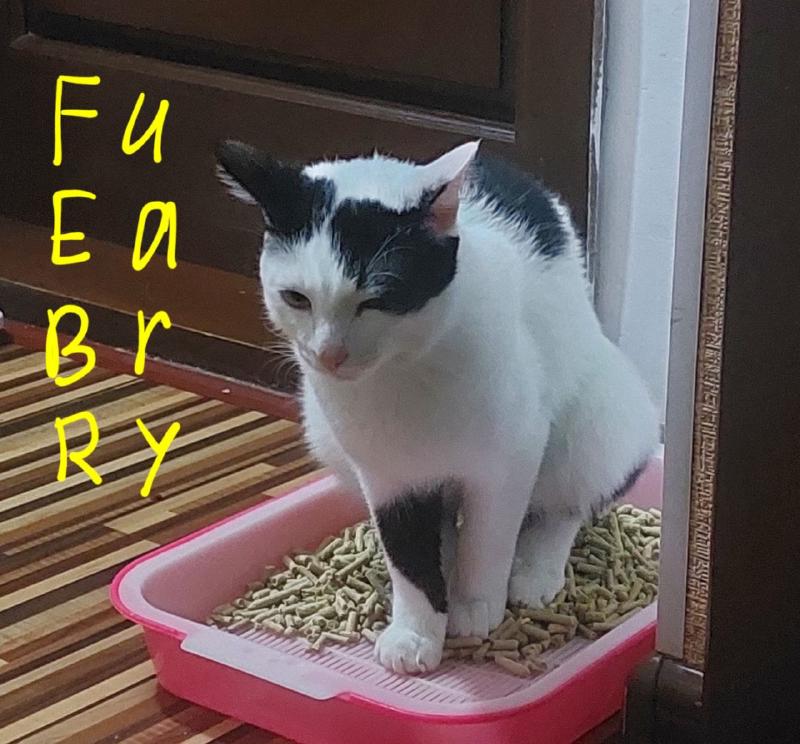 February photo