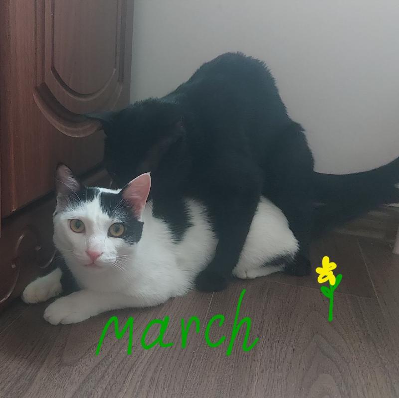 March photo
