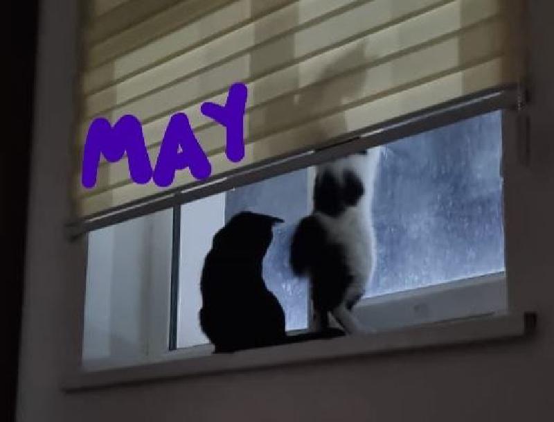 May photo