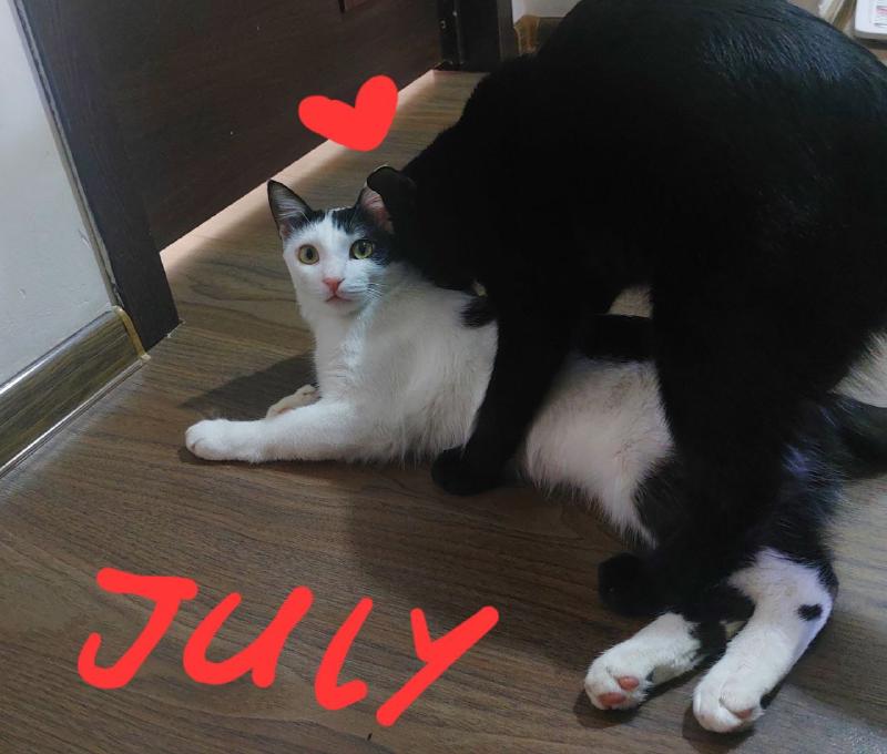 July photo