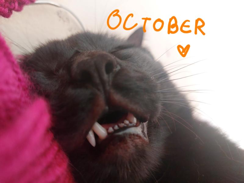 October photo