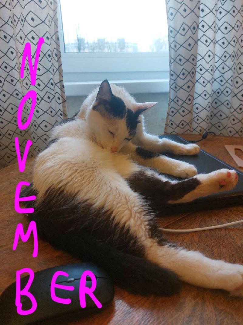 November photo
