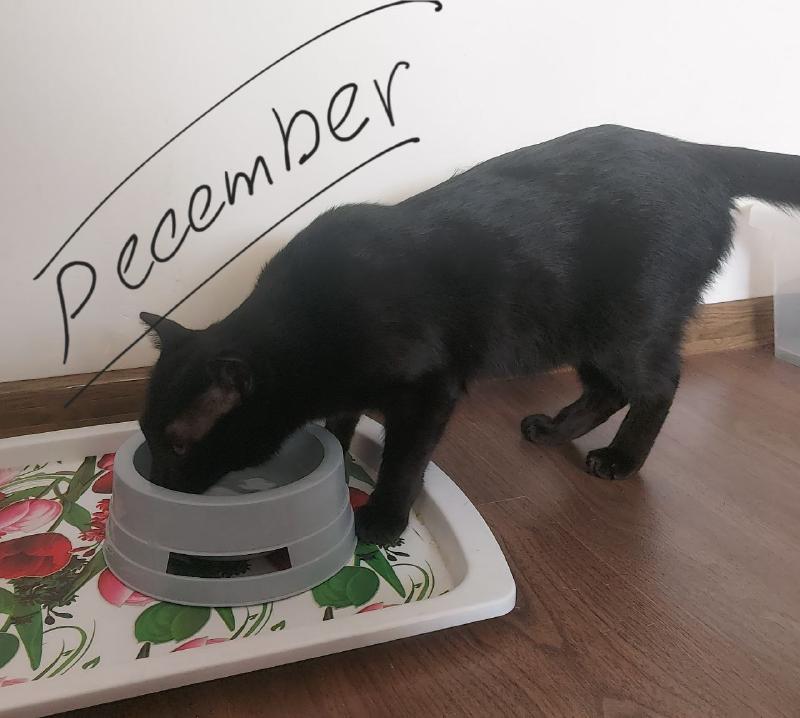 December photo