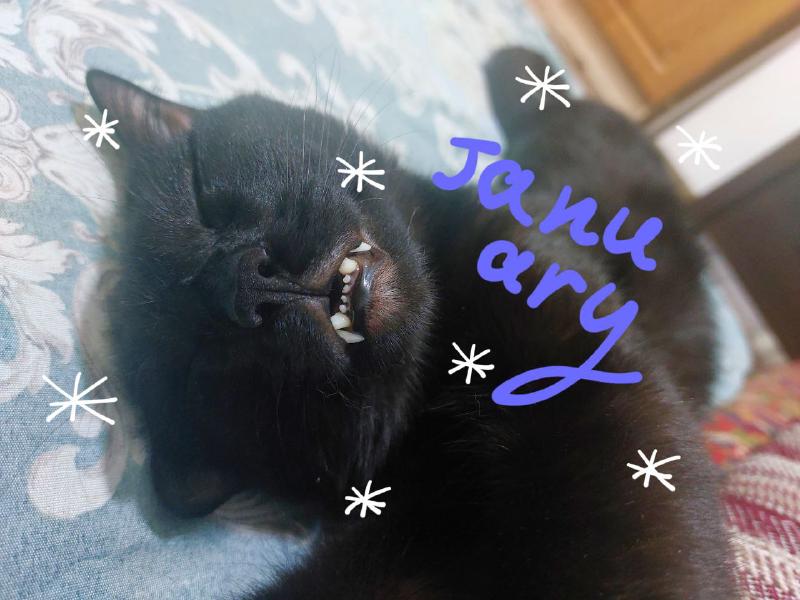 January photo