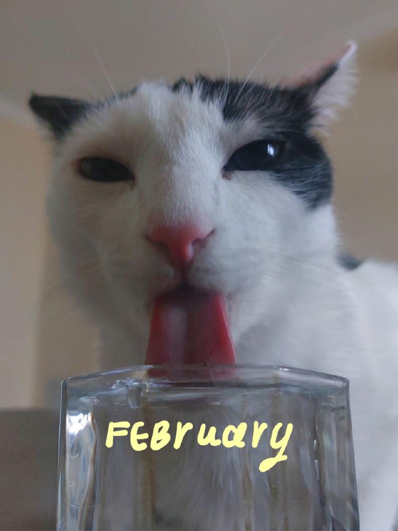 February photo