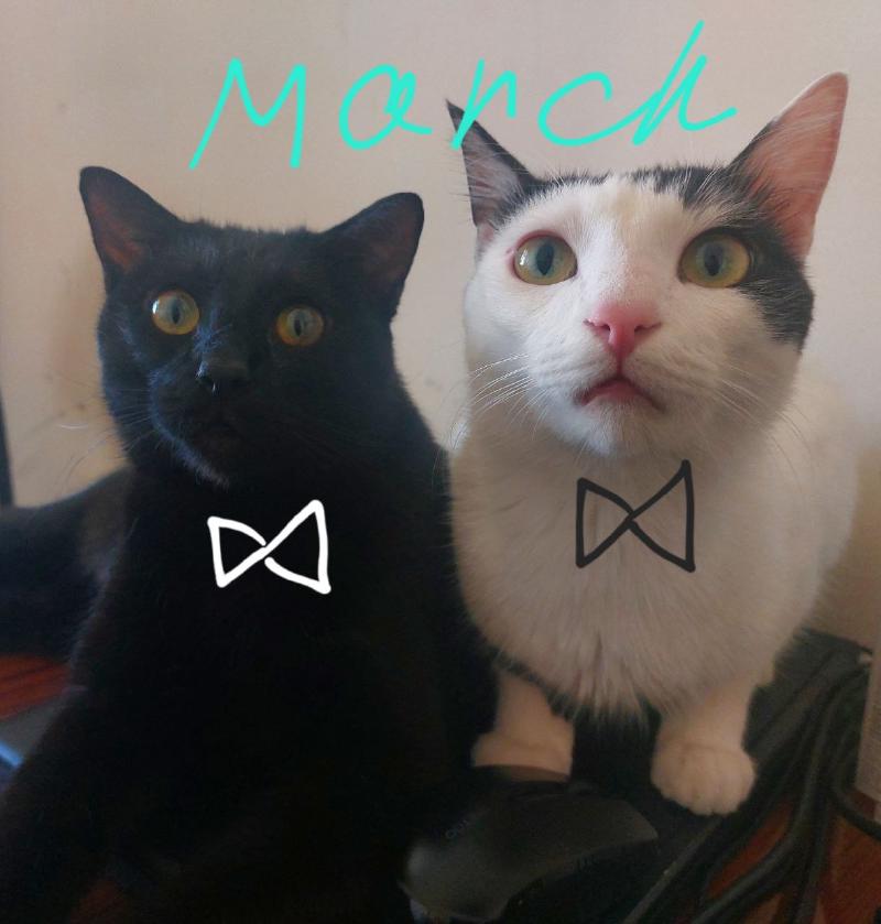 March photo