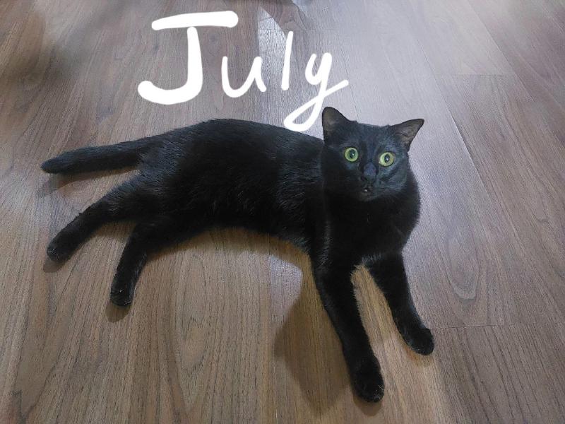 July photo