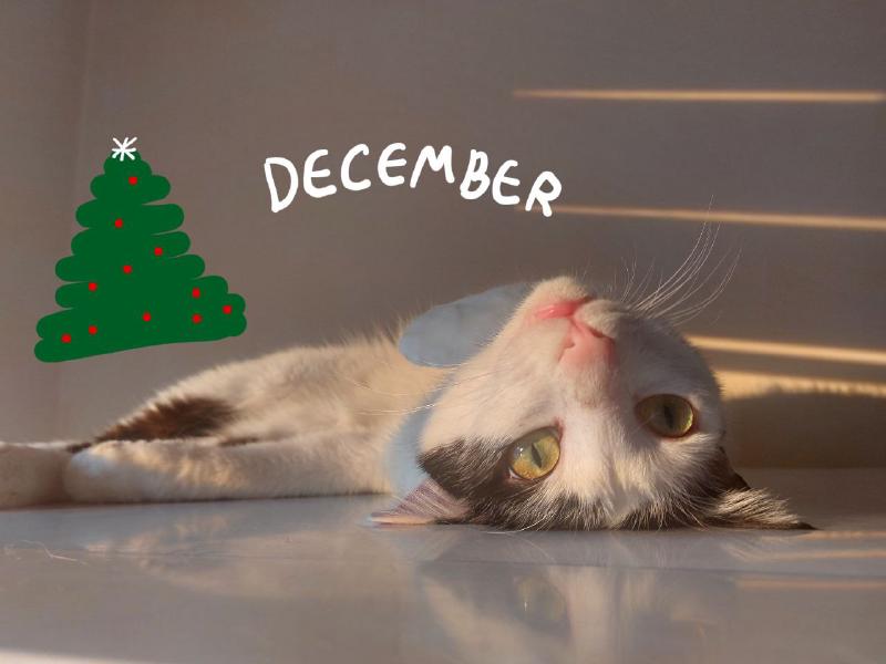 December photo